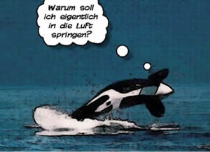 wal gr