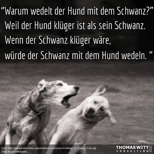 Warum_wedelt_der_Hund_mit_dem_Schwanz