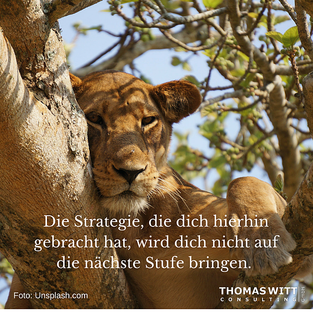 DieStrategiediedichhierhingebracht
