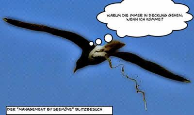 moewe gr