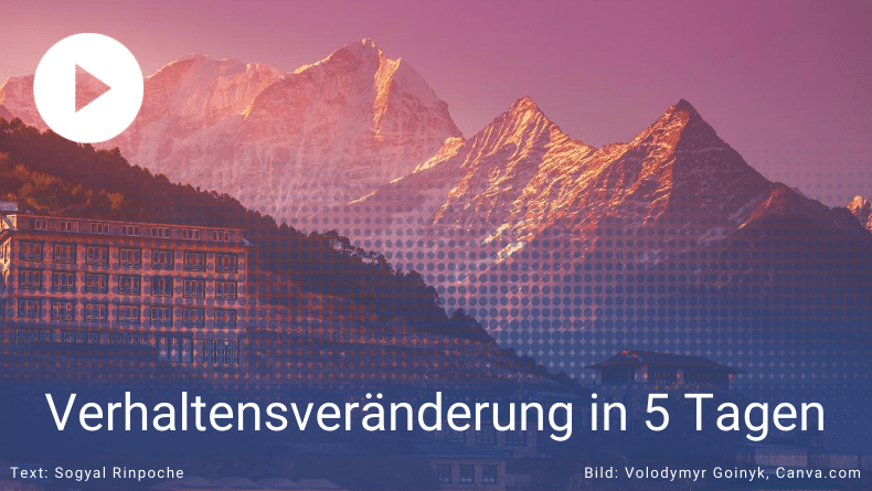 Verhaltensveränderung in 5 Tagen - Thomas Witt