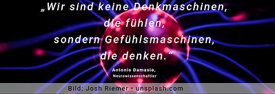 Copy of Antonio Damasio Zitat-May-04-2021-12-49-21-85-PM
