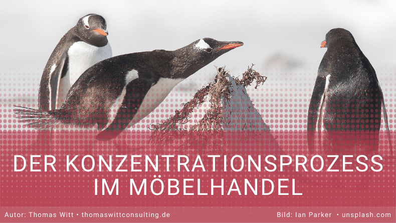 Der Konzentrationsprozess im Möbelhandel - Thomas Witt