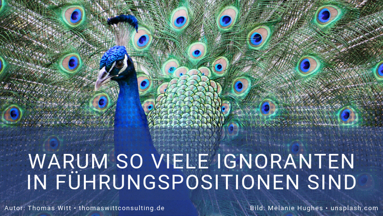 Warum so viele Ignoranten in Führungspositionen sind-1