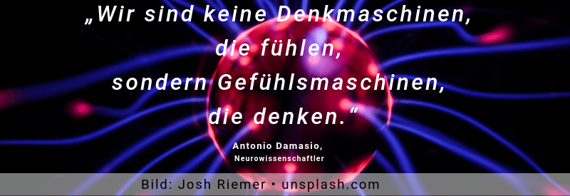 Copy of Antonio Damasio Zitat