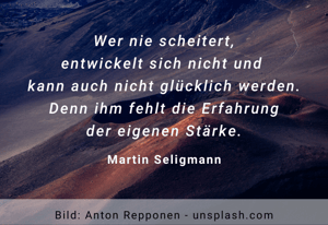 Wer nie scheitert - Martin Seligmann