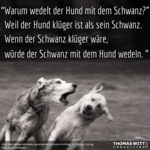 Warum_wedelt_der_Hund_mit_dem_Schwanz